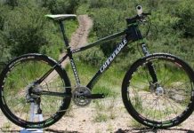 Gigantes apresentam as novidades